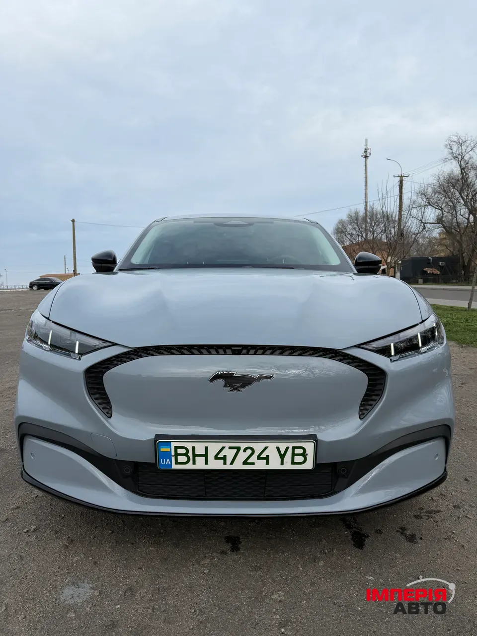 Ford Mustang Mach-E - фото 18