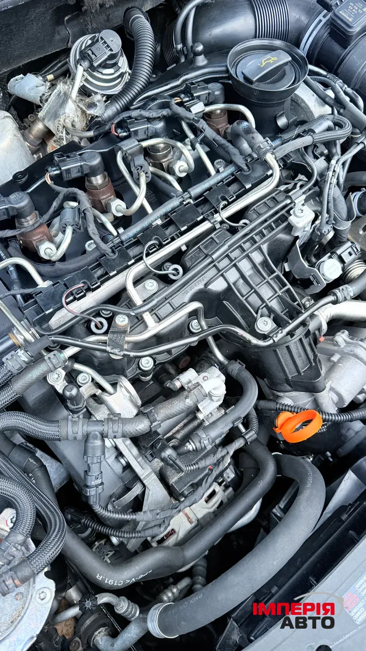 Volkswagen Golf - фото 15