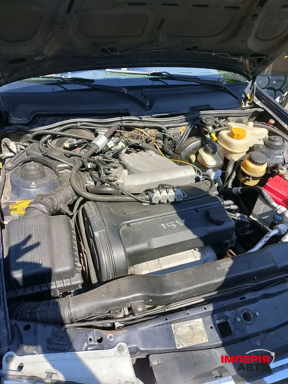 Daewoo Nexia - фото 10