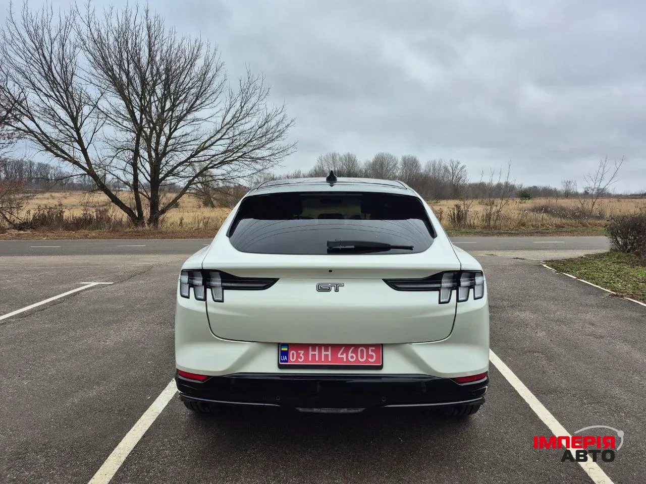 Ford Mustang Mach-E - фото 30