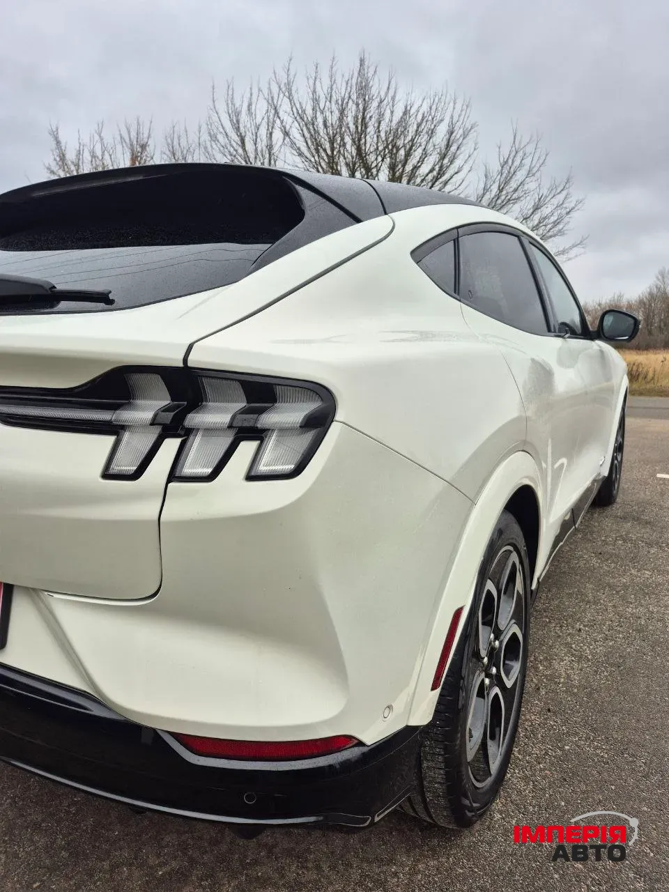 Ford Mustang Mach-E - фото 5