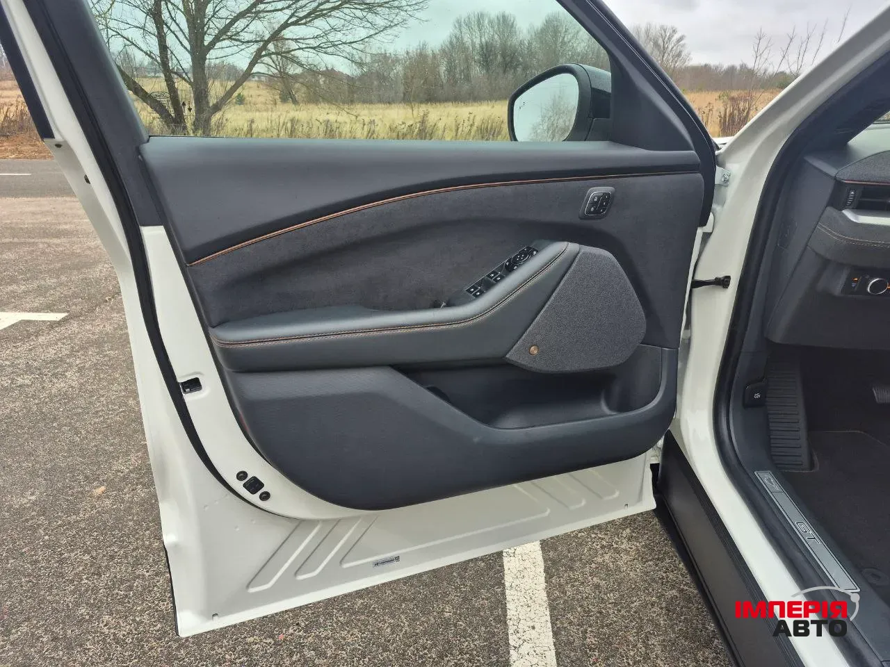 Ford Mustang Mach-E - фото 21