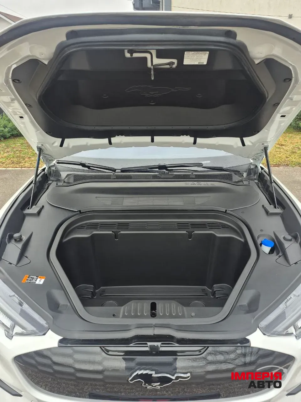 Ford Mustang Mach-E - фото 8