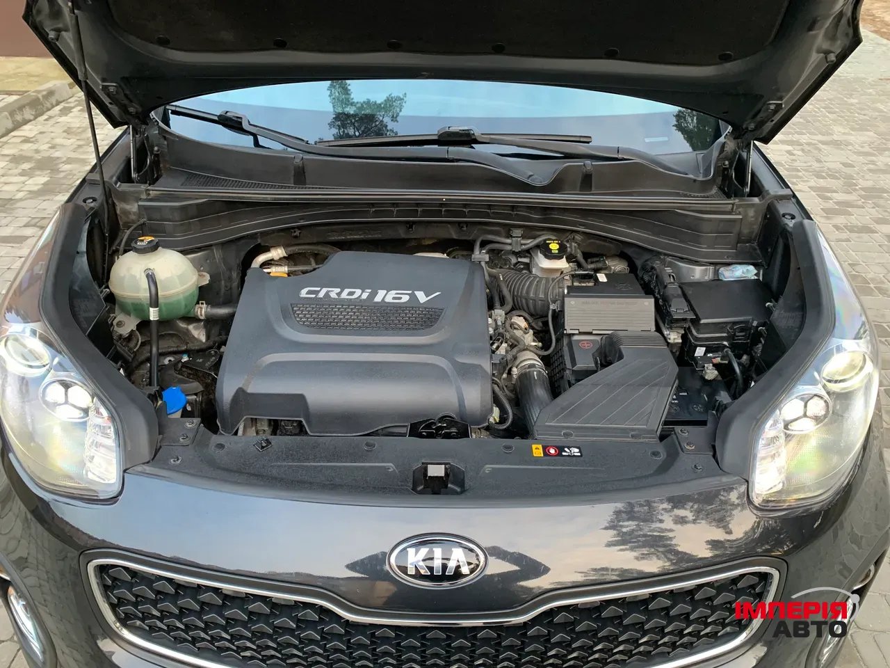 Kia Sportage - фото 20