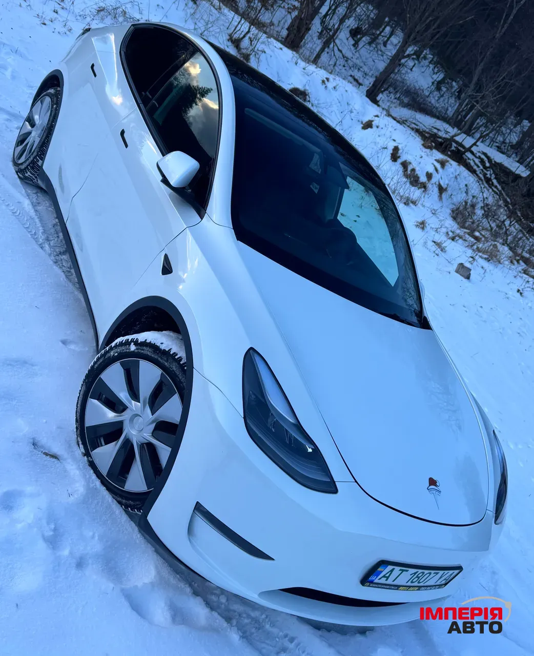 Tesla Model Y - фото 2