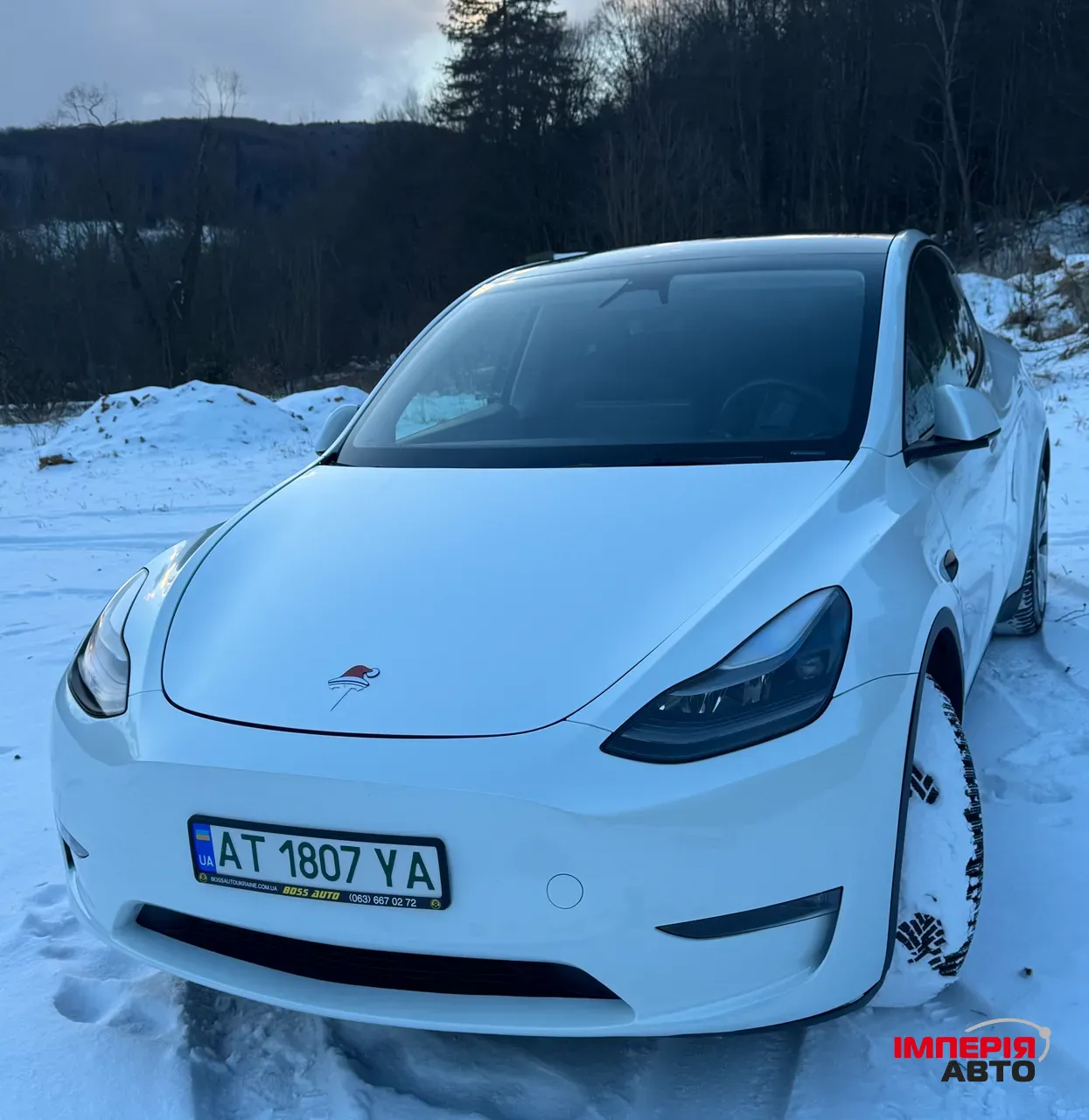 Tesla Model Y - фото 5