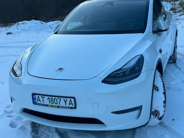 Tesla Model Y - фото 5