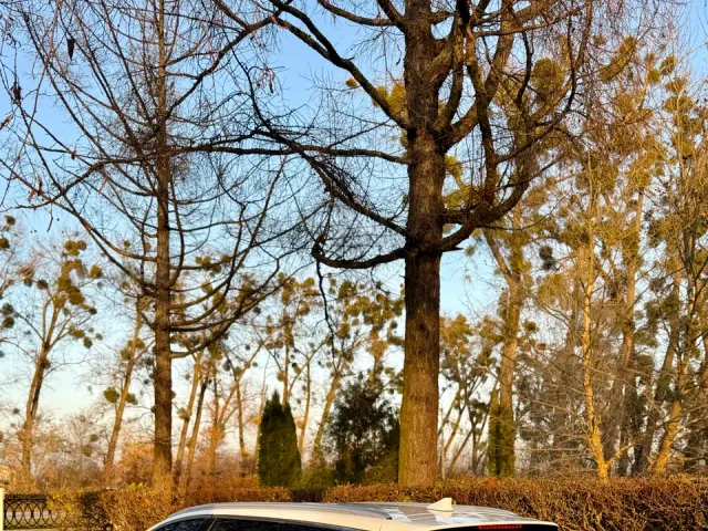 Kia Optima - фото 4