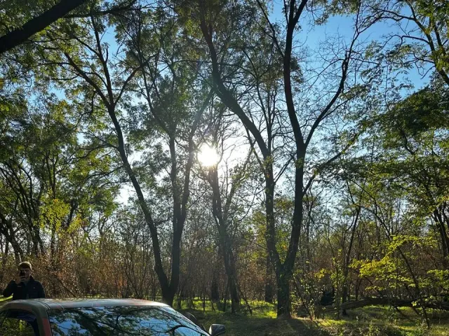 Chevrolet Camaro - фото 2