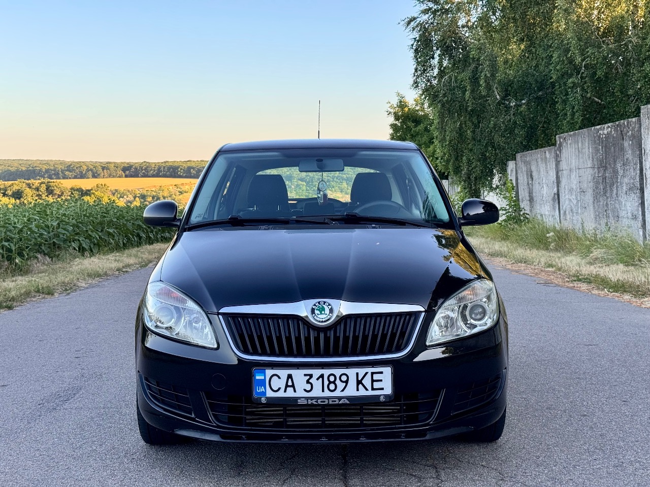 Skoda Fabia - фото 1