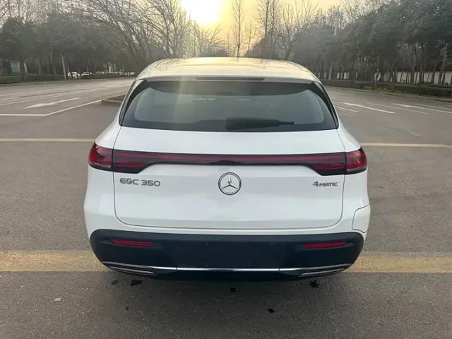 Mercedes-Benz EQC - фото 4