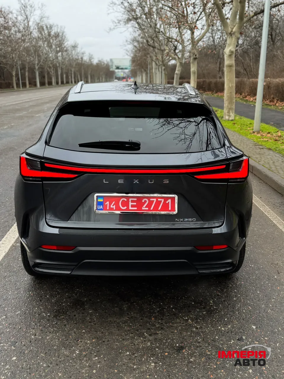 Lexus NX - фото 8