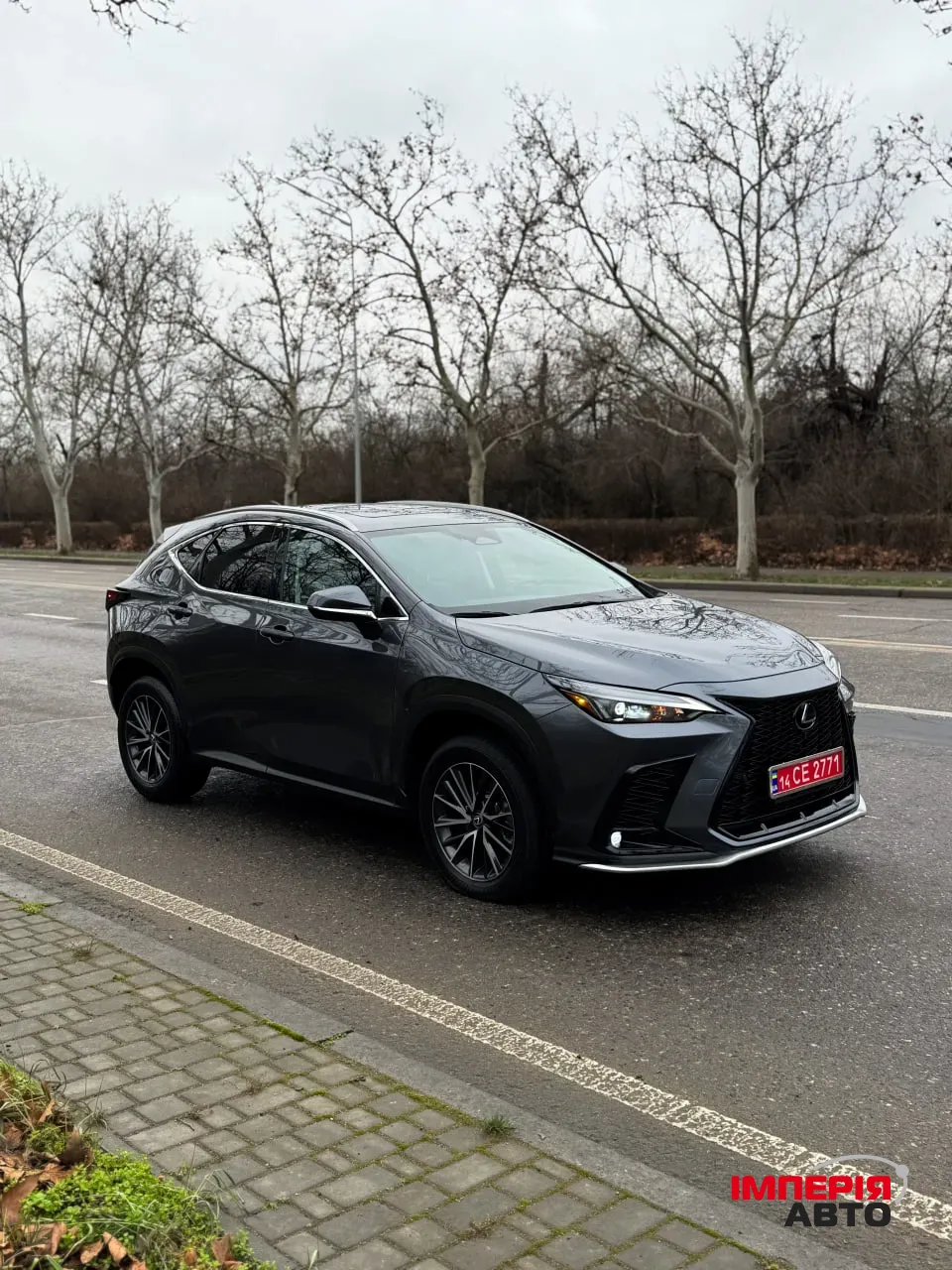 Lexus NX - фото 3