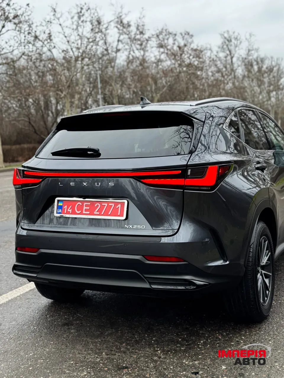 Lexus NX - фото 7