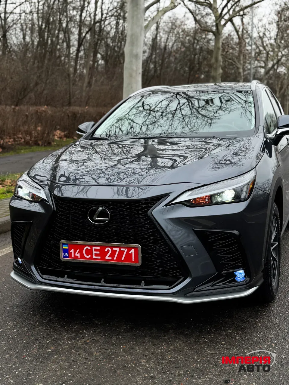 Lexus NX - фото 5