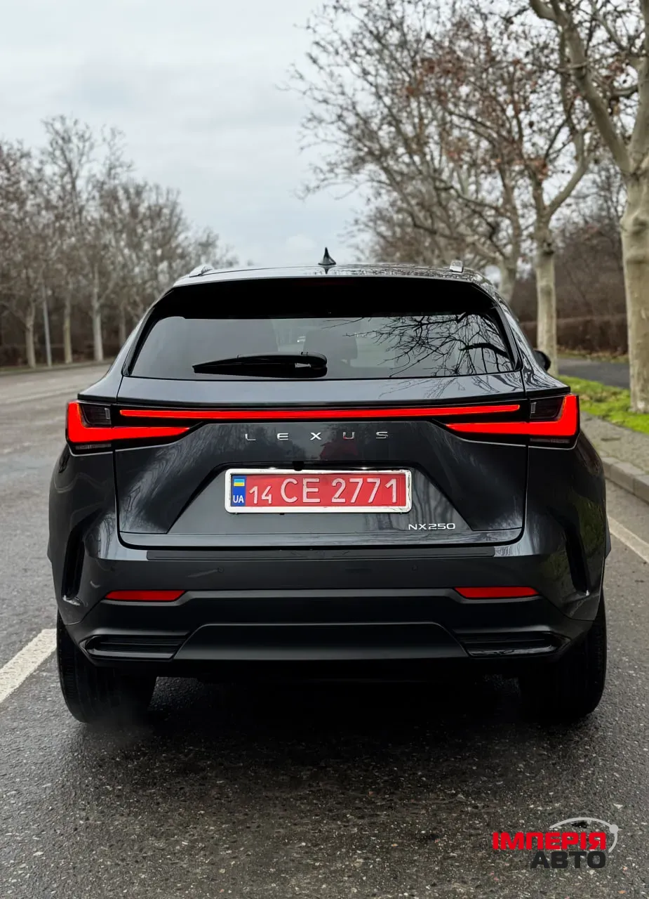 Lexus NX - фото 6