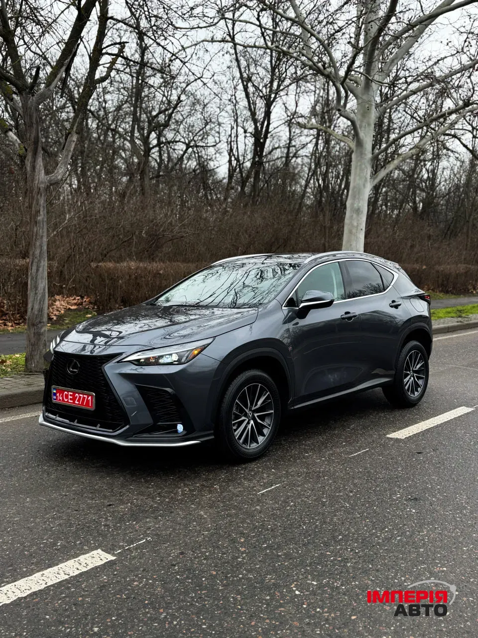 Lexus NX - фото 2