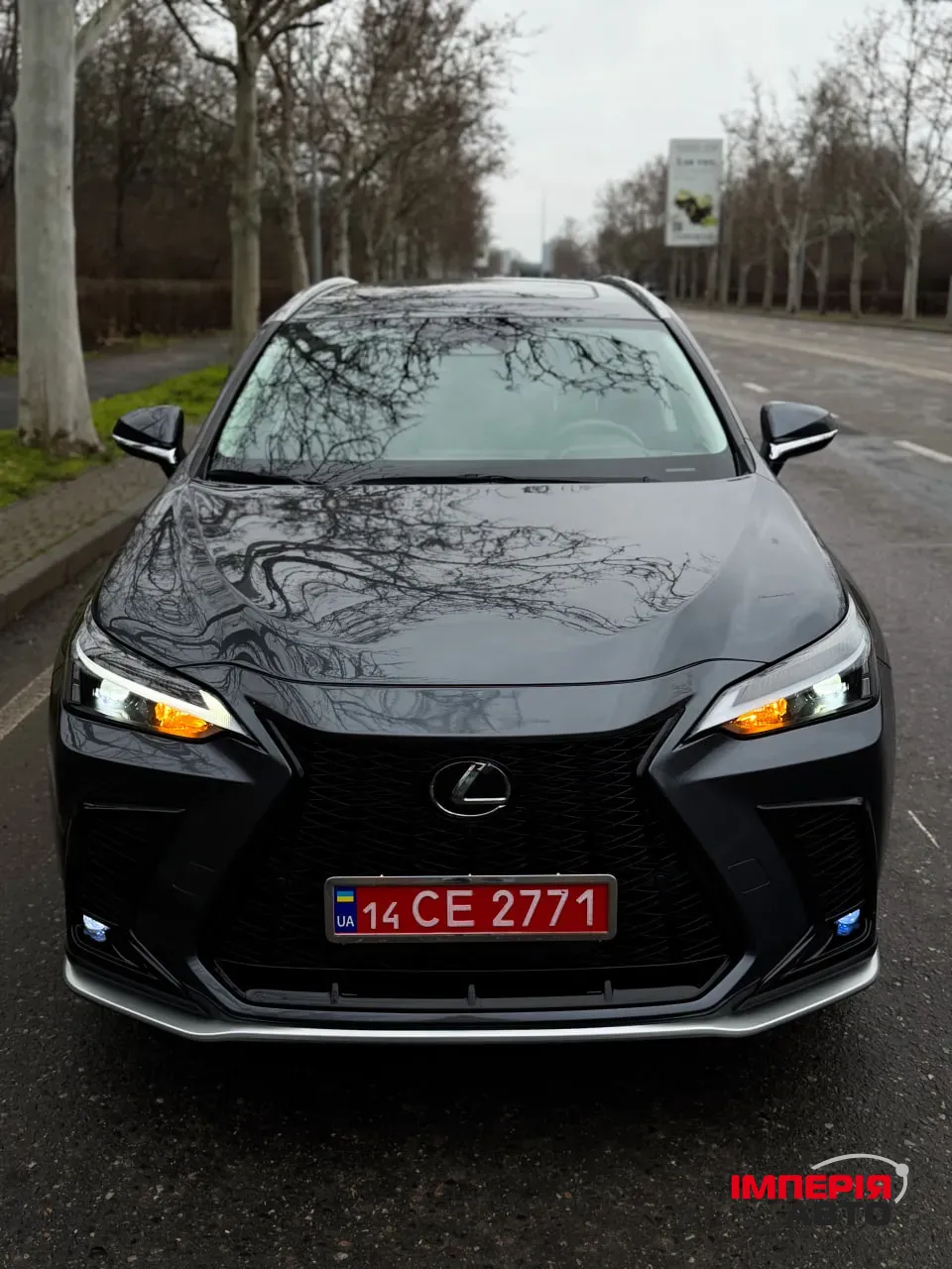 Lexus NX - фото 4