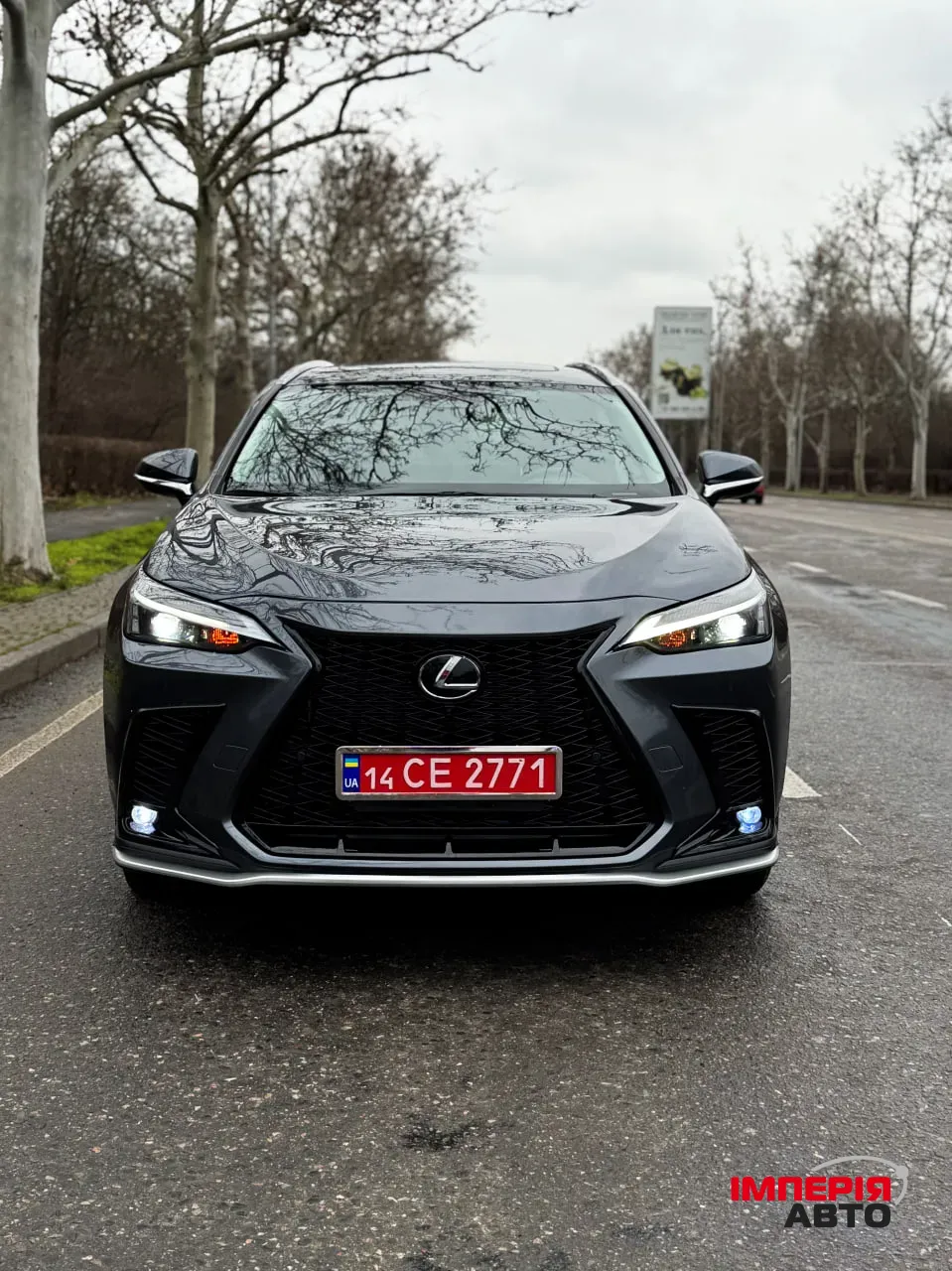 Lexus NX - фото 1