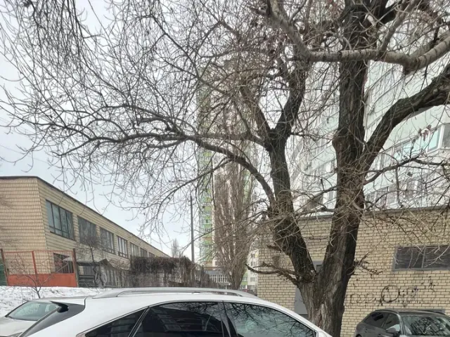 Lexus RX - фото 2