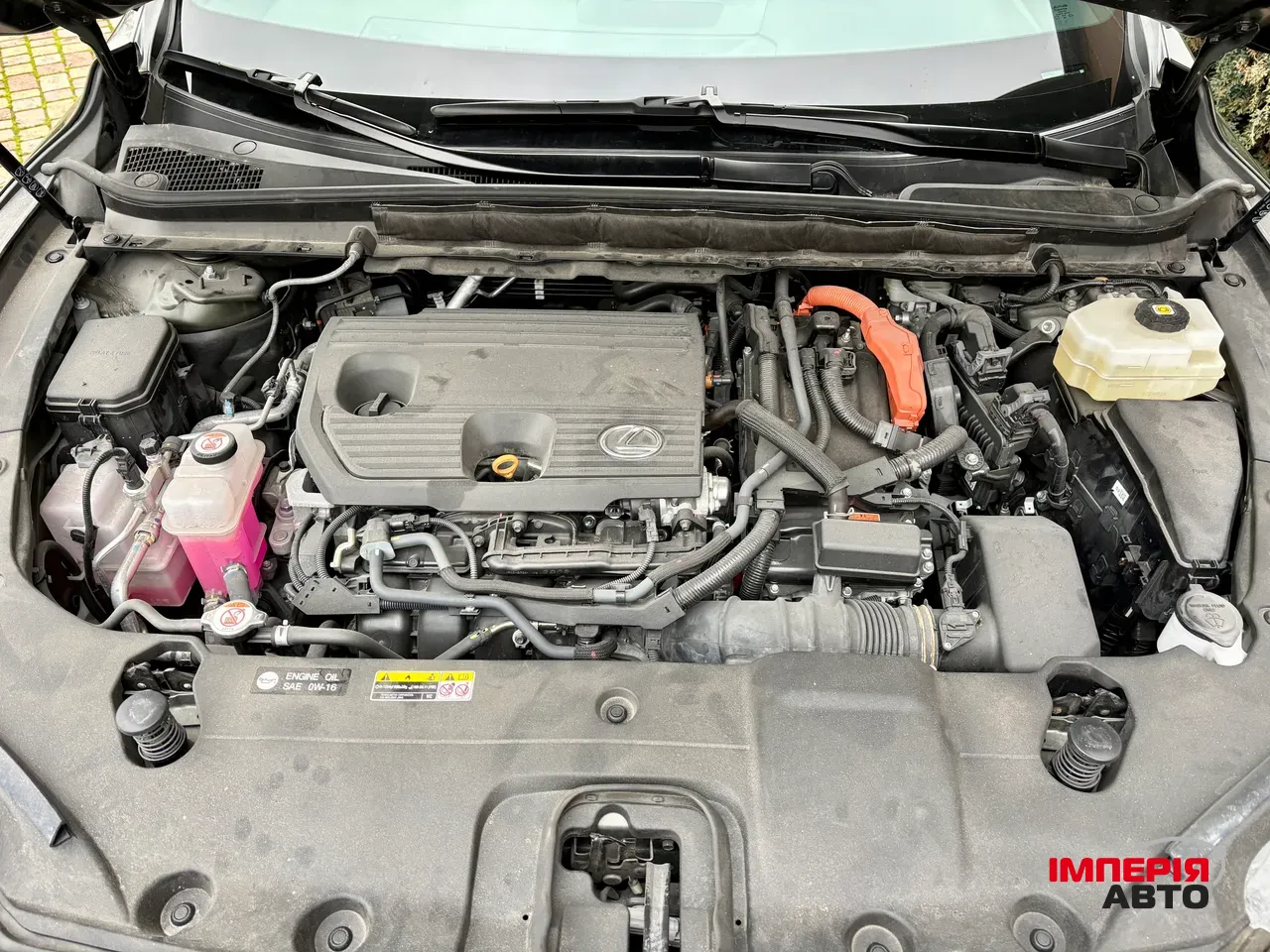 Lexus RX - фото 12