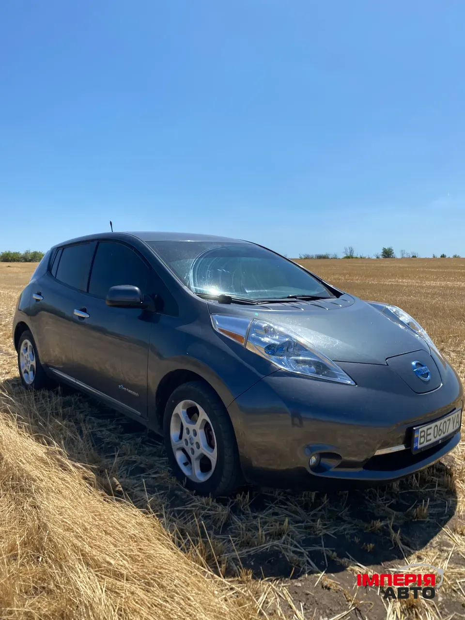 Nissan Leaf - фото 1
