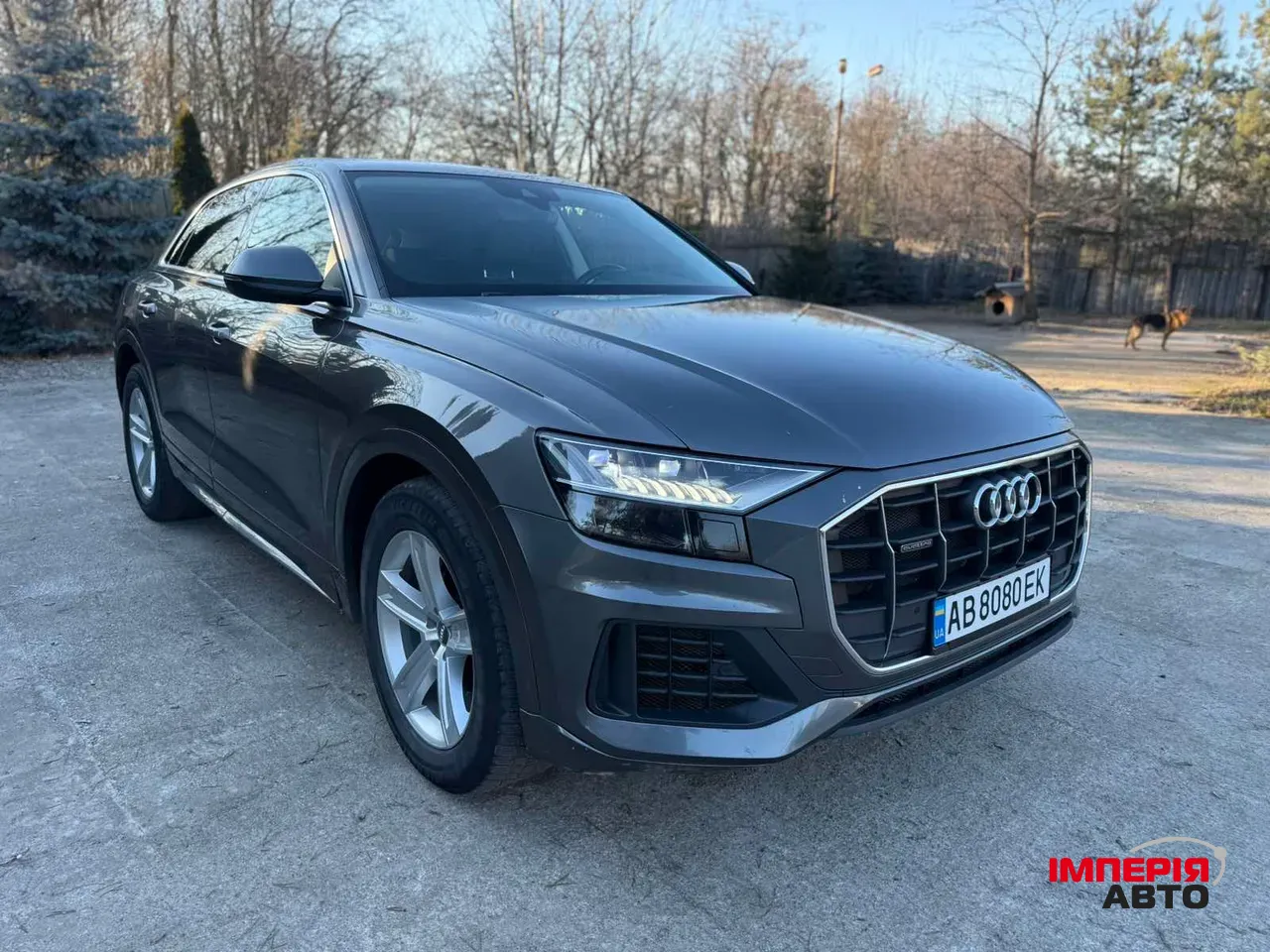 Audi Q8 - фото 6