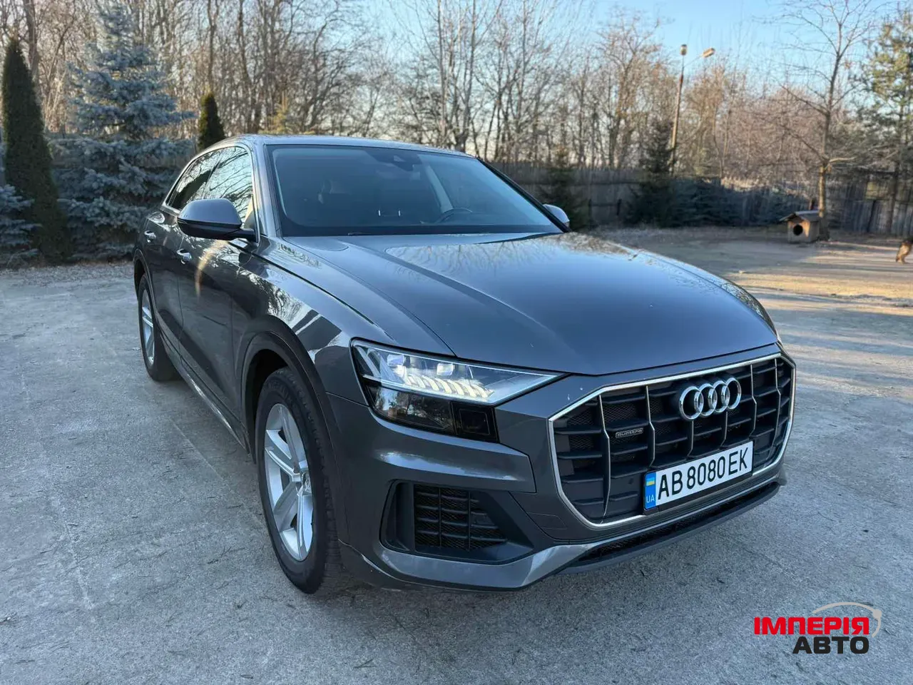 Audi Q8 - фото 7