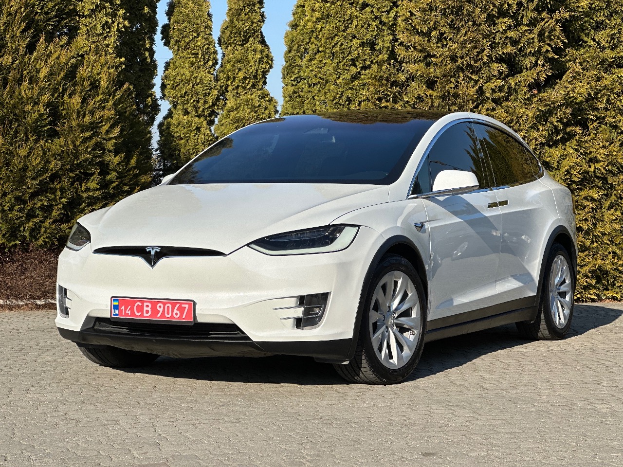 Tesla Model X - фото 16