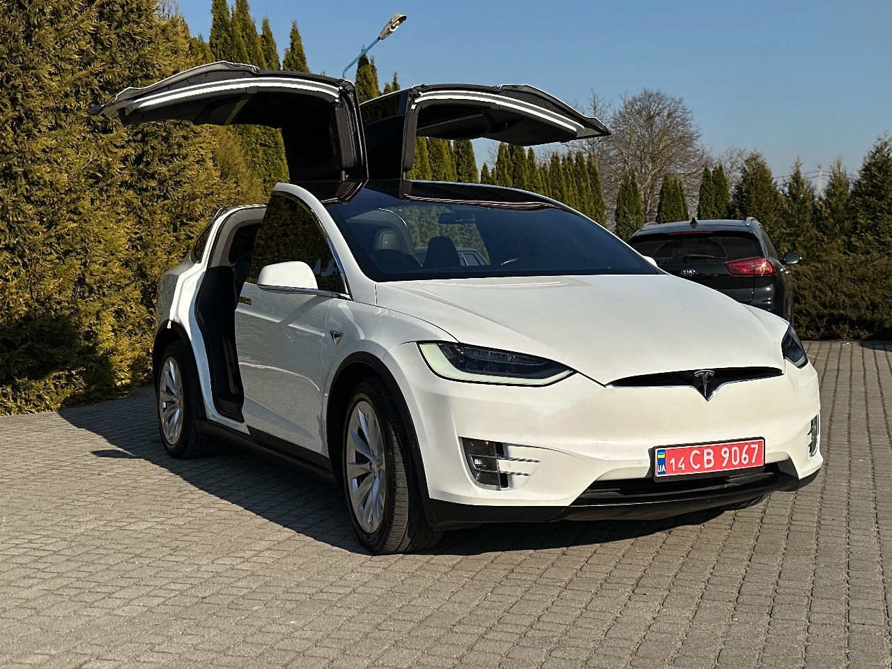Tesla Model X - фото 27