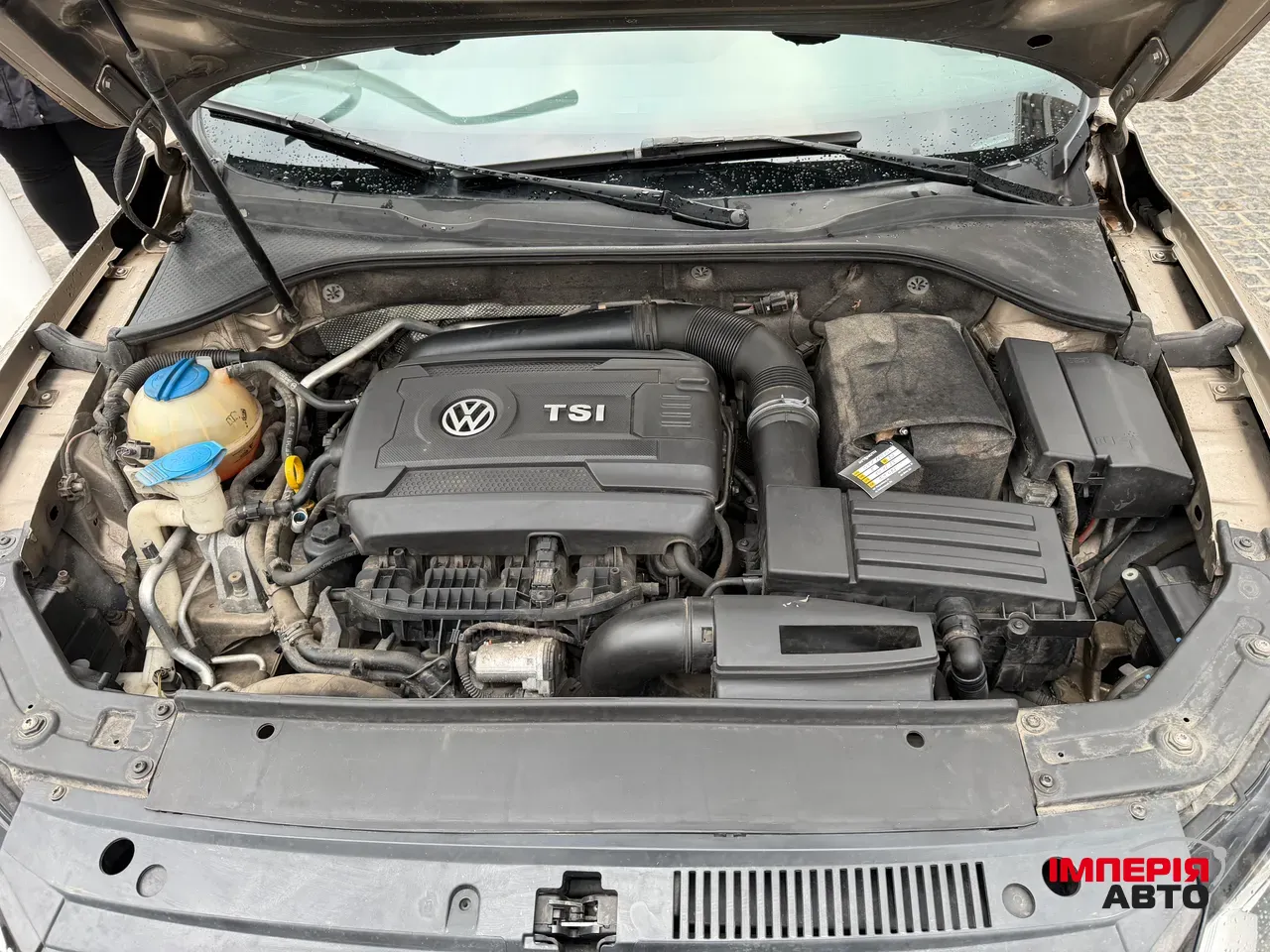 Volkswagen Passat (North America and China) - фото 16