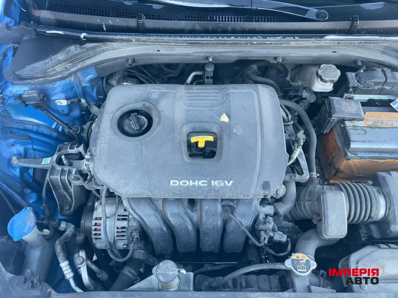 Hyundai Elantra - фото 18