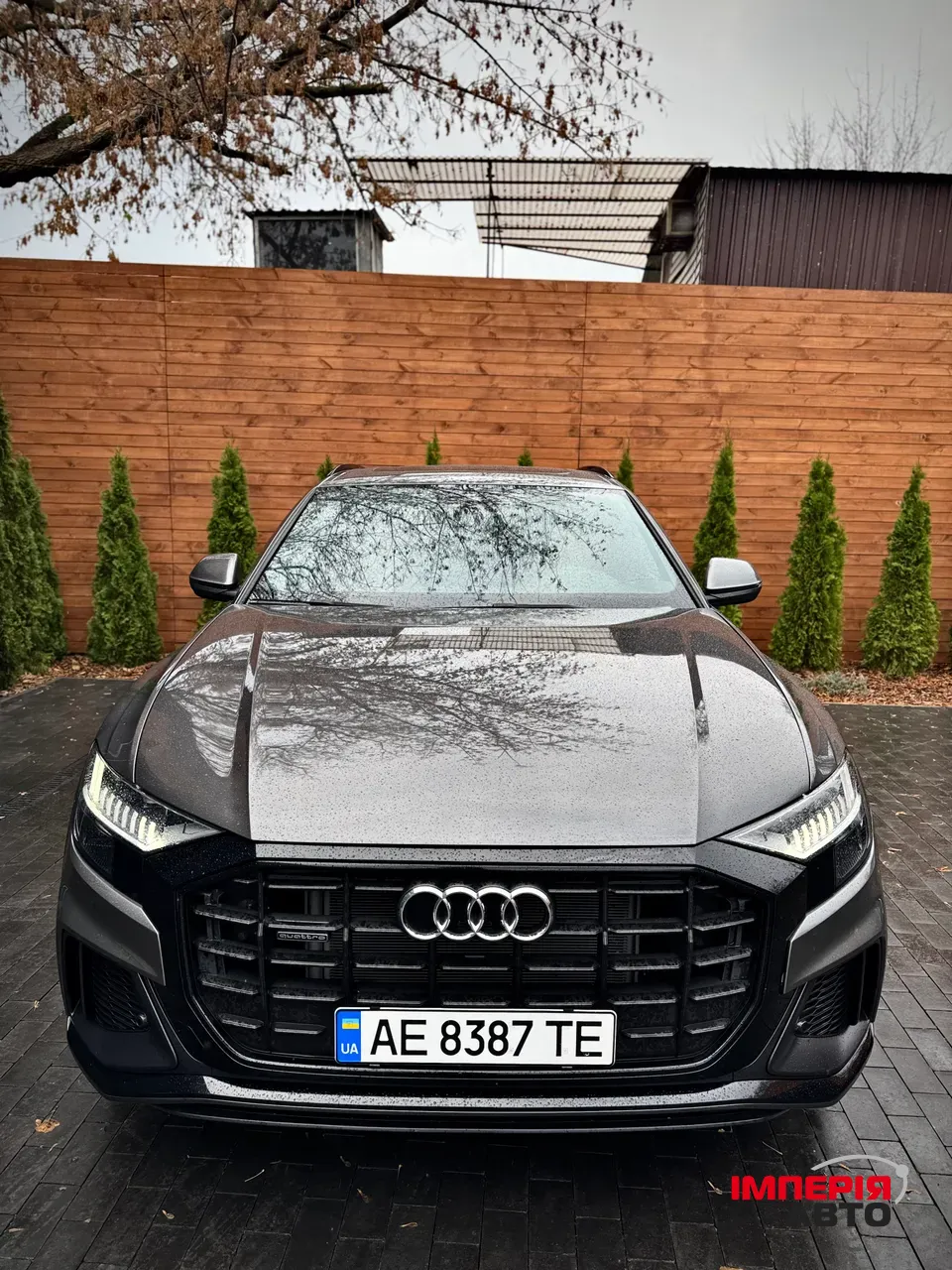 Audi Q8 - фото 3