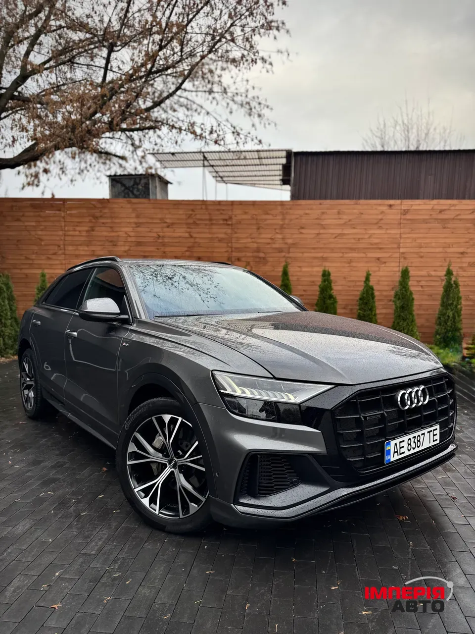 Audi Q8 - фото 5