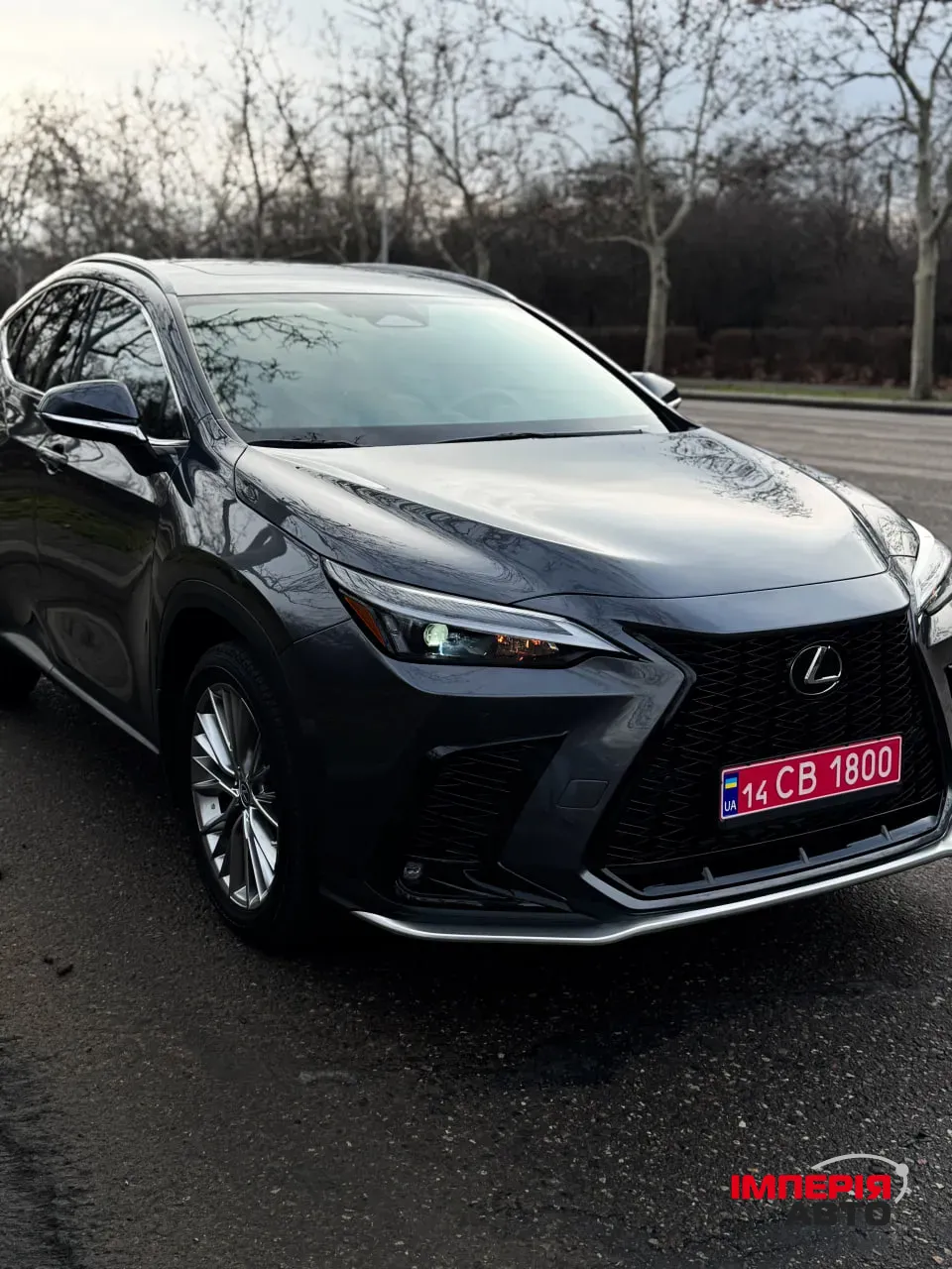 Lexus NX - фото 8