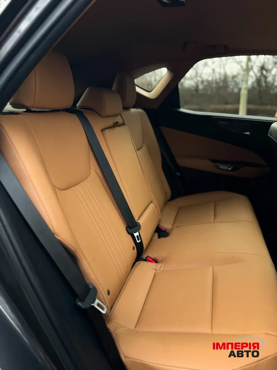 Lexus NX - фото 14