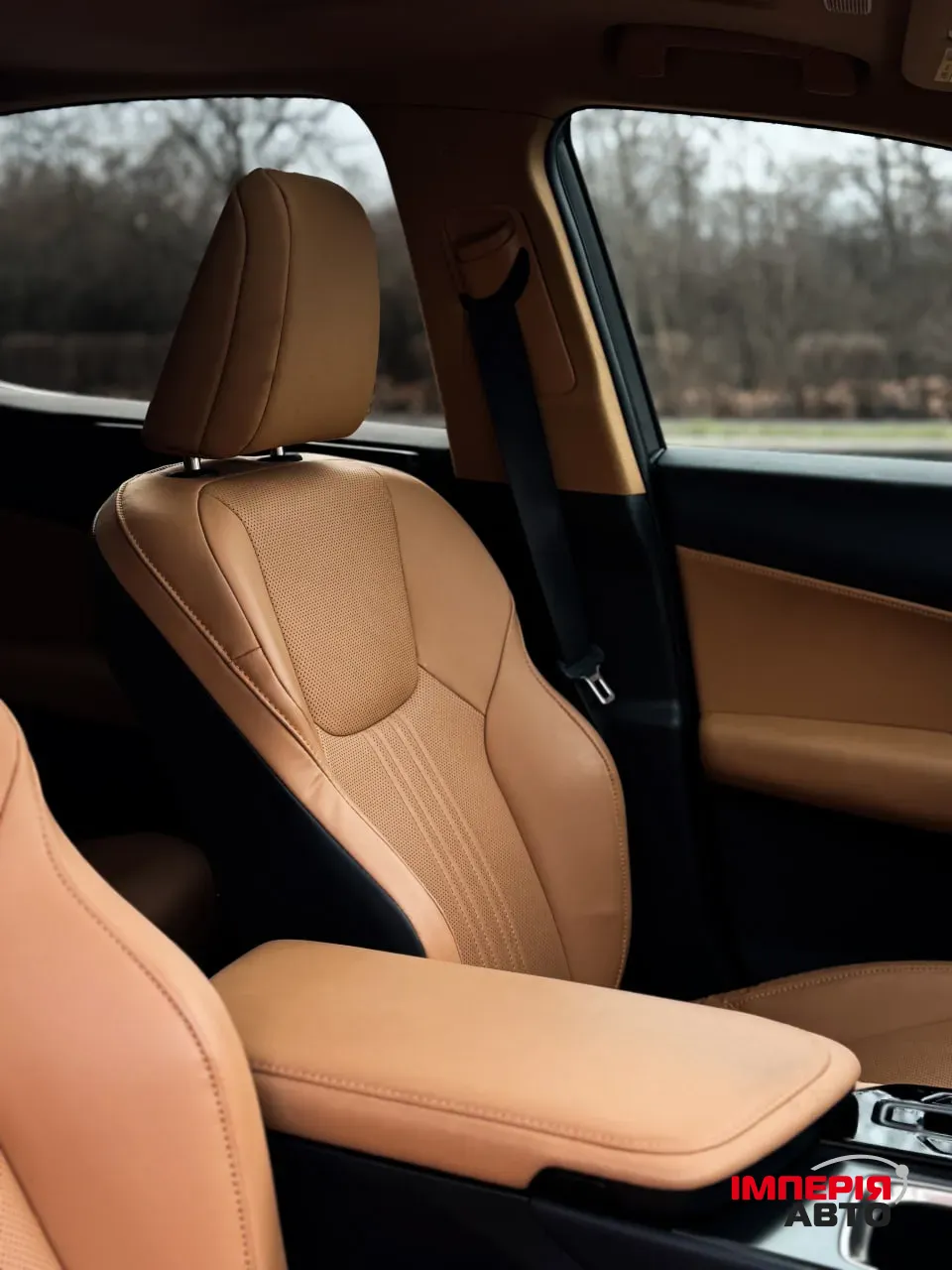 Lexus NX - фото 16