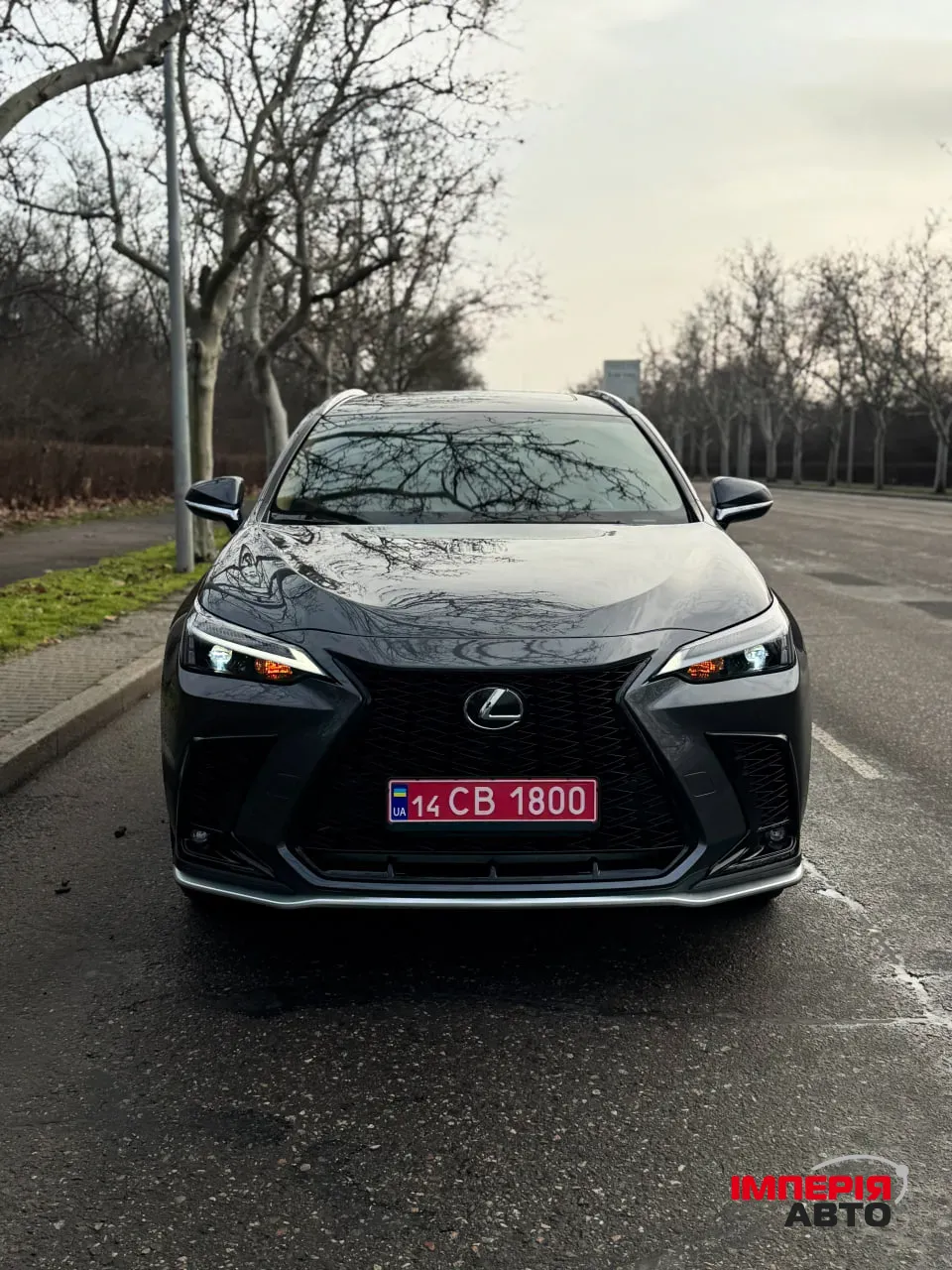 Lexus NX - фото 5