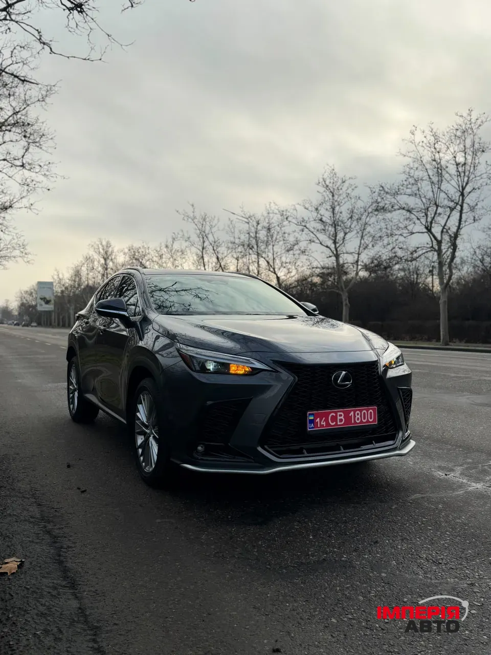 Lexus NX - фото 1