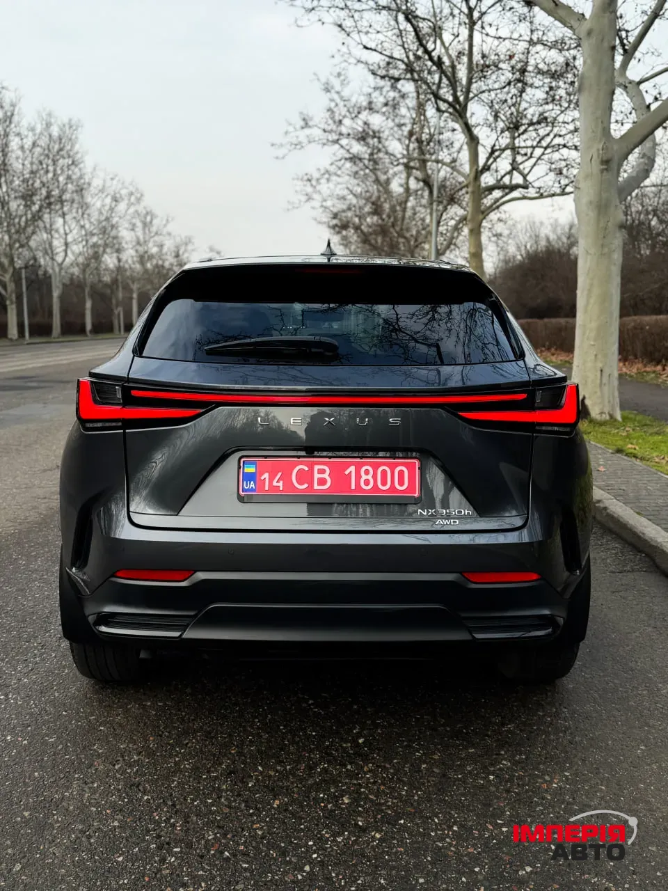 Lexus NX - фото 6