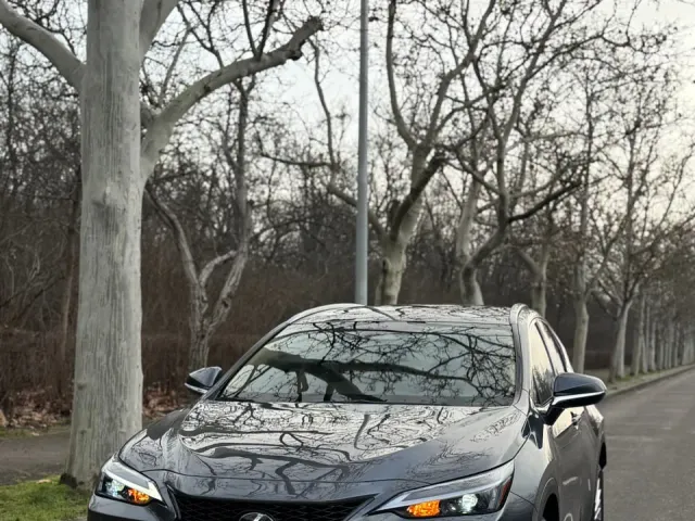 Lexus NX - фото 2