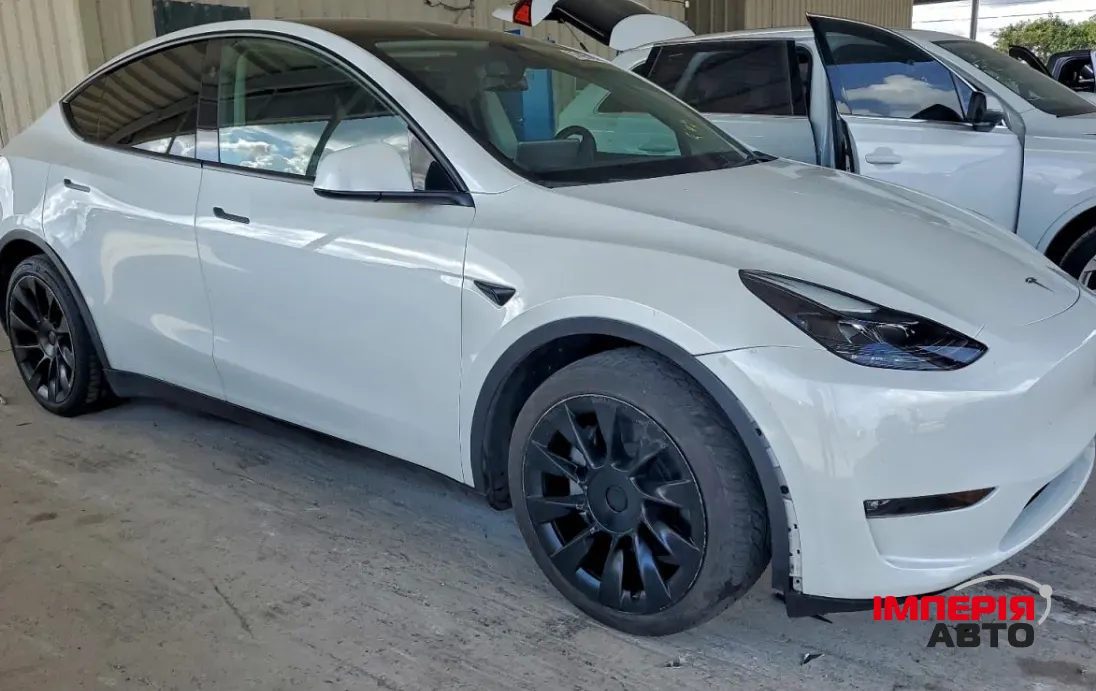 Tesla Model Y - фото 3