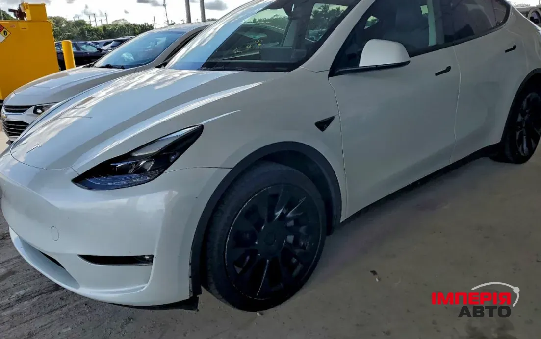 Tesla Model Y - фото 1