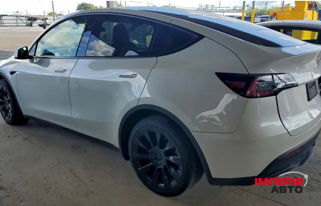 Tesla Model Y - фото 4
