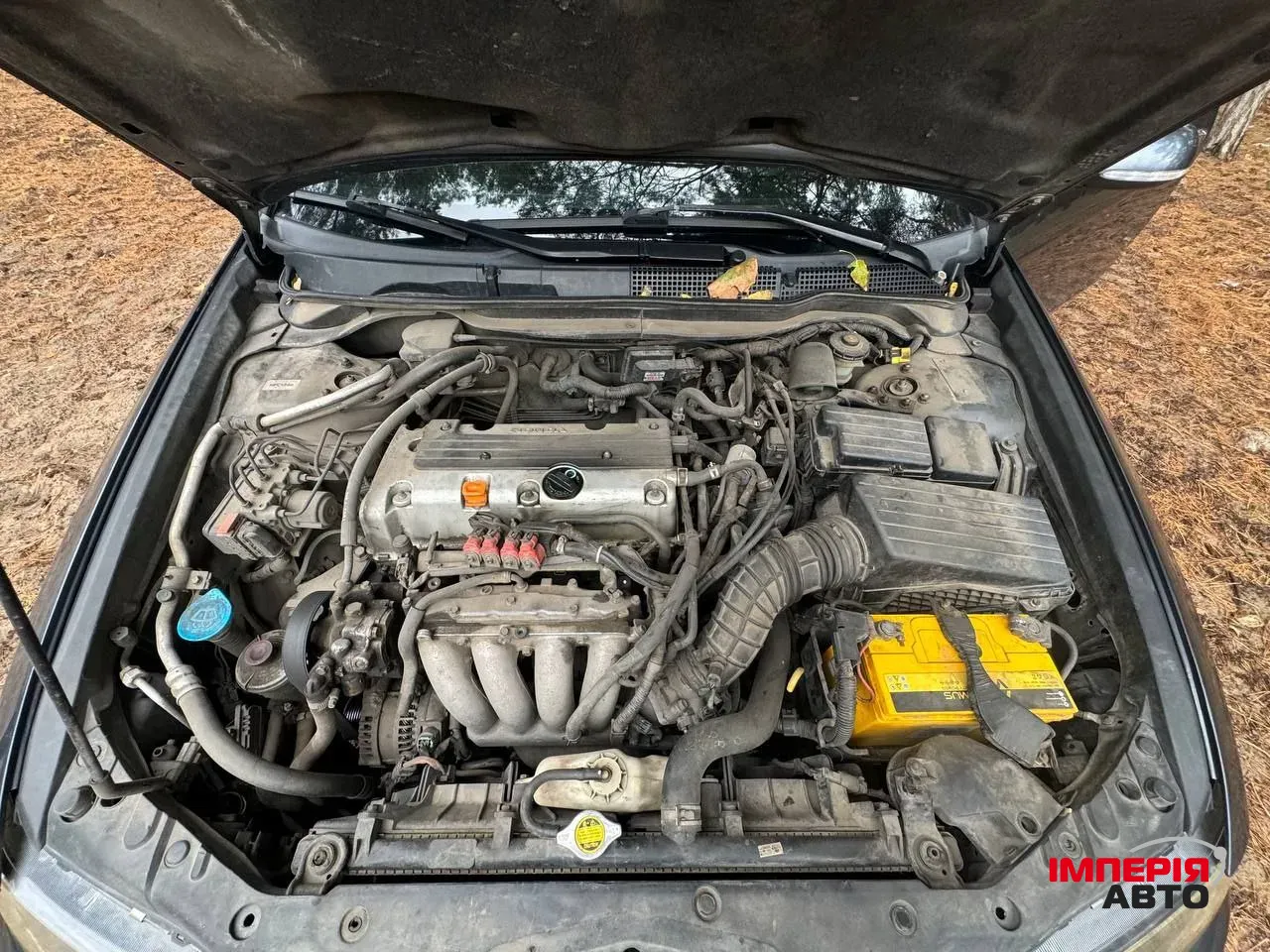 Honda Accord - фото 10