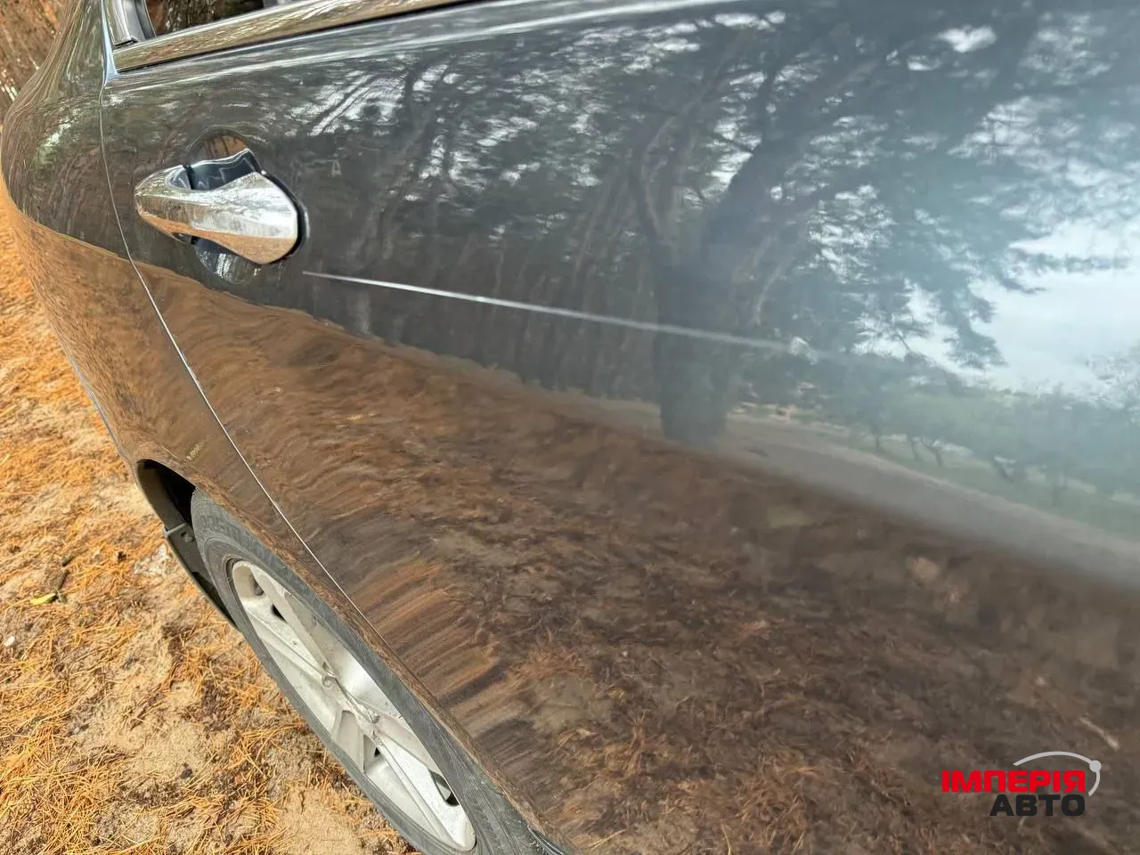 Honda Accord - фото 11