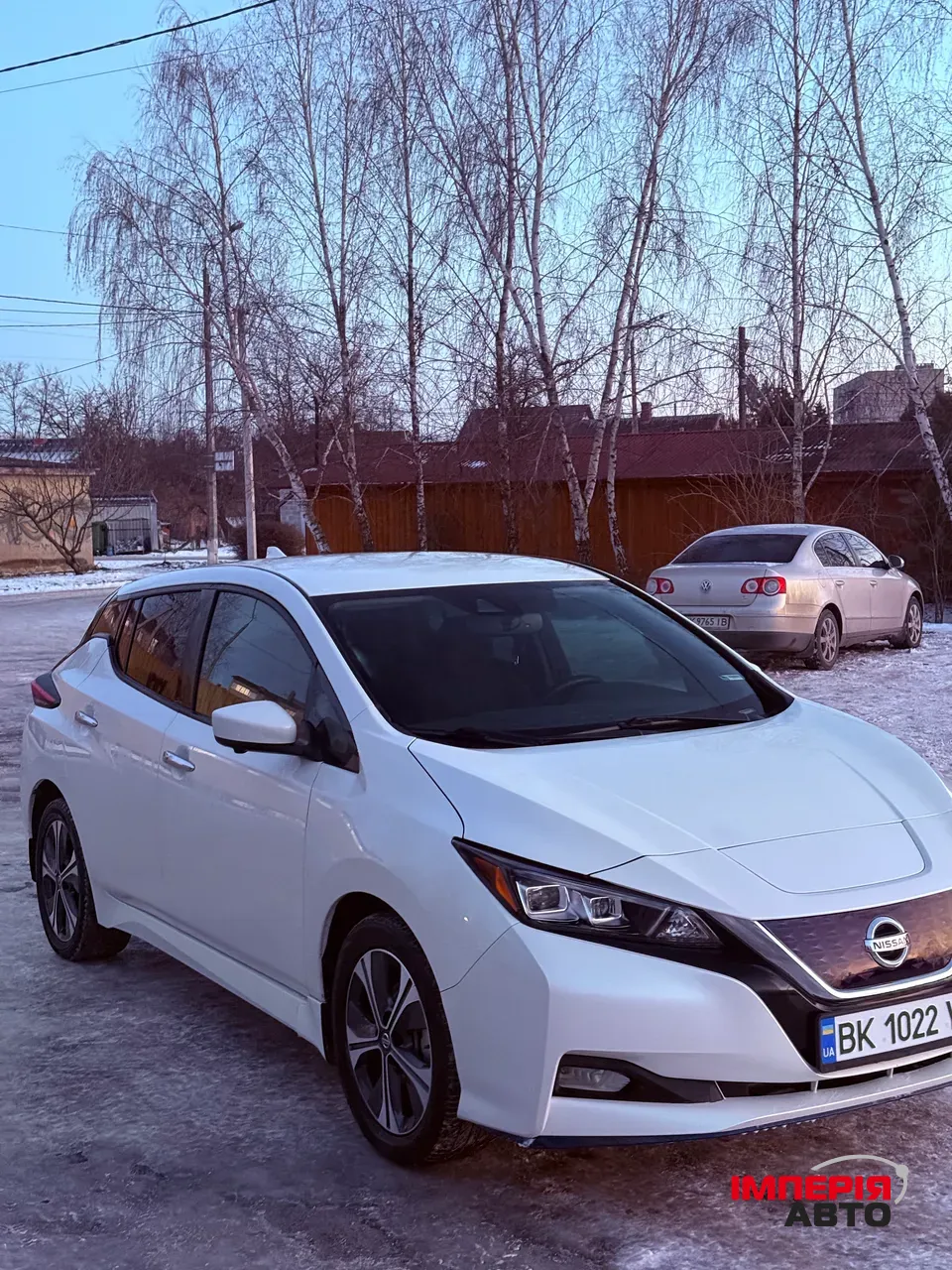 Nissan Leaf - фото 1