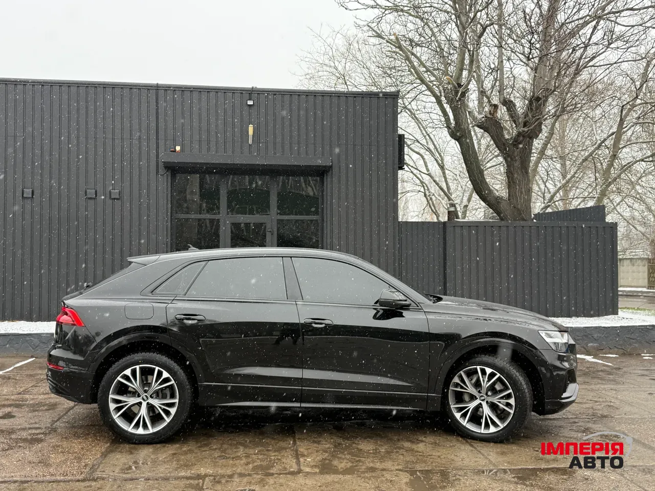 Audi Q8 - фото 3