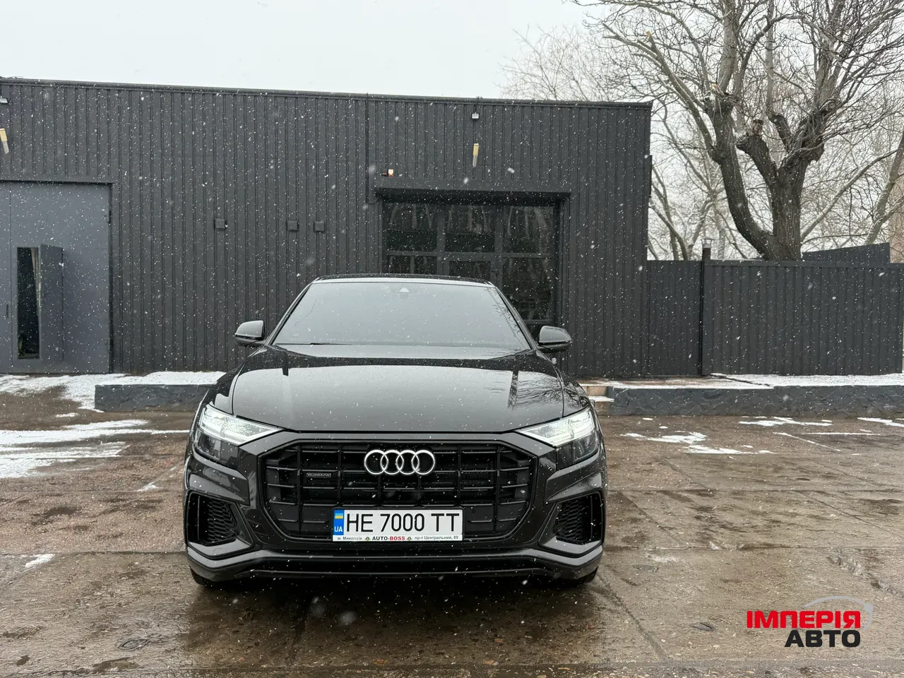 Audi Q8 - фото 49