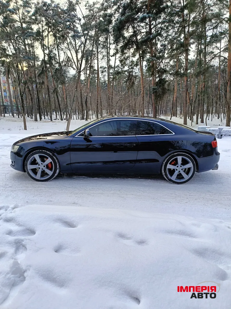Audi A5 - фото 8